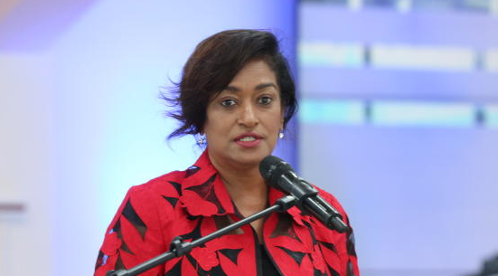 Passaris defends protest bill as critics warn of rights claw-back