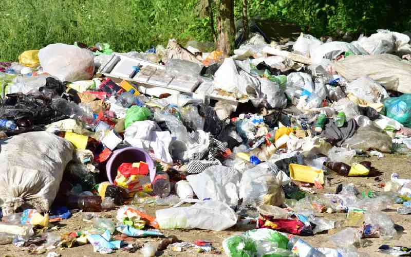 Young people urged to join plastic pollution eradication initiatives