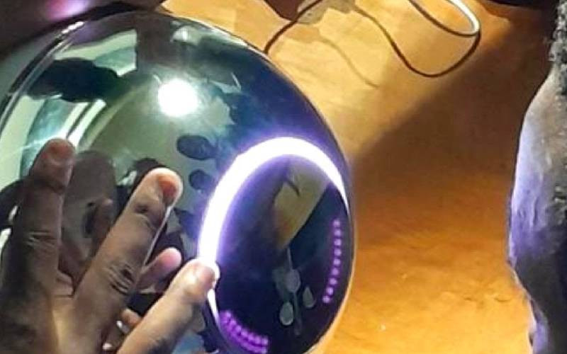 Mark of the beast? Controversy over iris data in voter registration