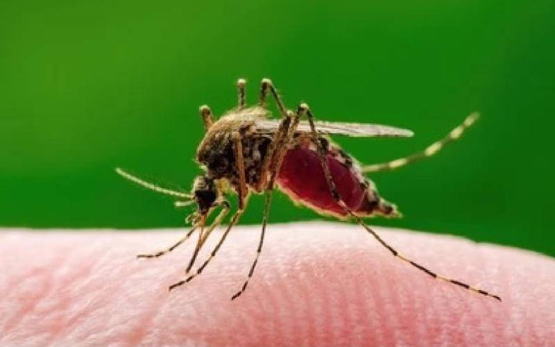 Researchers find malaria's weak point, offer hope for world children