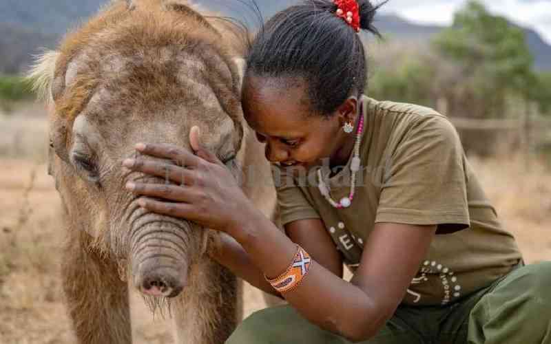 Why Kenya, Tanzania must step up protection of their elephants