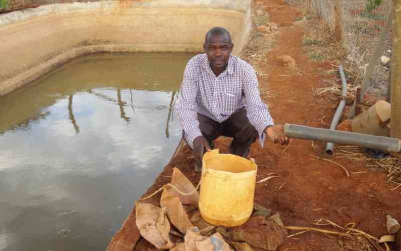 Why every farmer needs water-harvesting skills