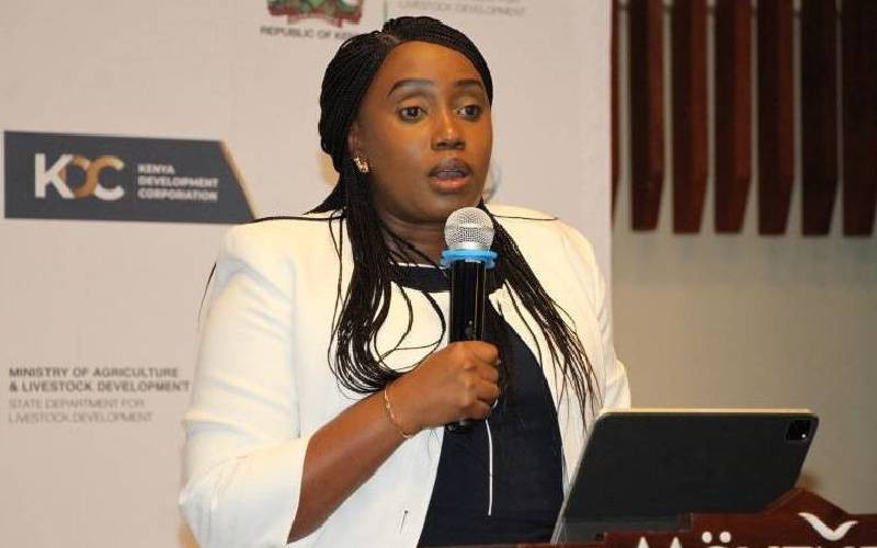 KDC lines up Sh18.5 billion funding pipeline for SMEs