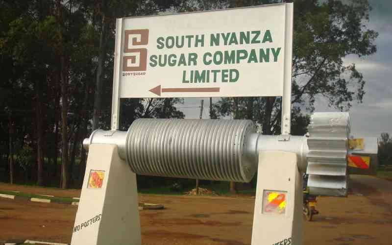 Sony's 40000-acre auction puts to test Ruto's Sh117b write-off pledge