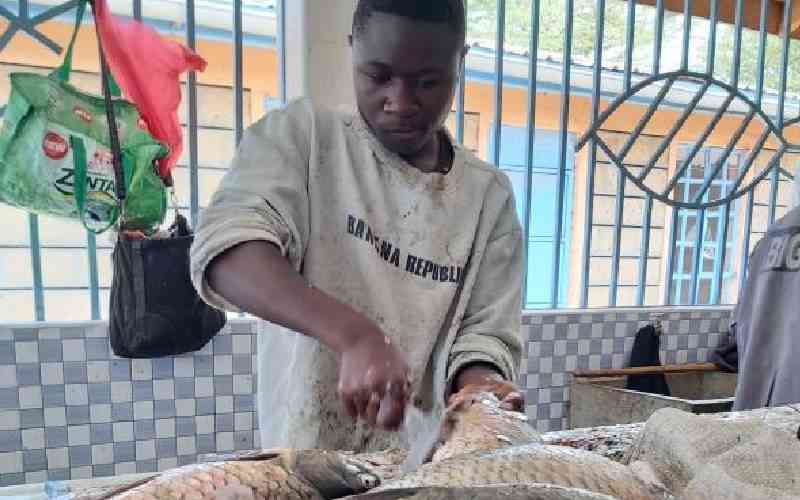 Alarm as fish catch in Lake Na...