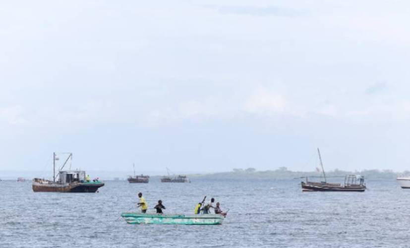 Political inaction blocks fight against global illegal fishing