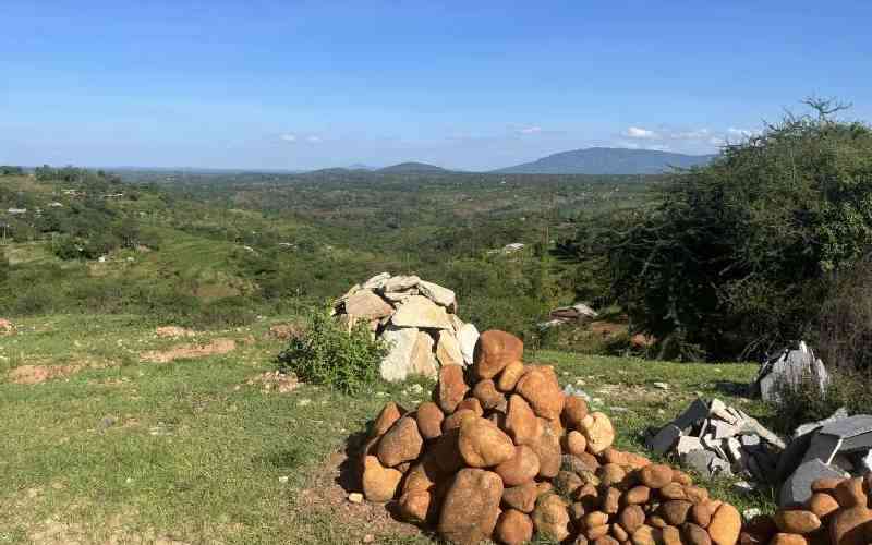 The unusual hustles of Machakos and other regions