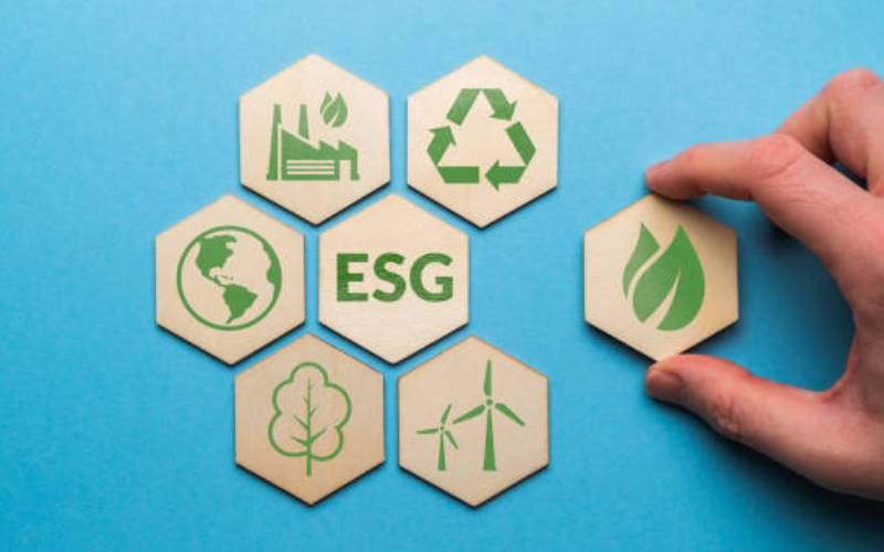 Incorporating ESG metrics into business valuation is critical