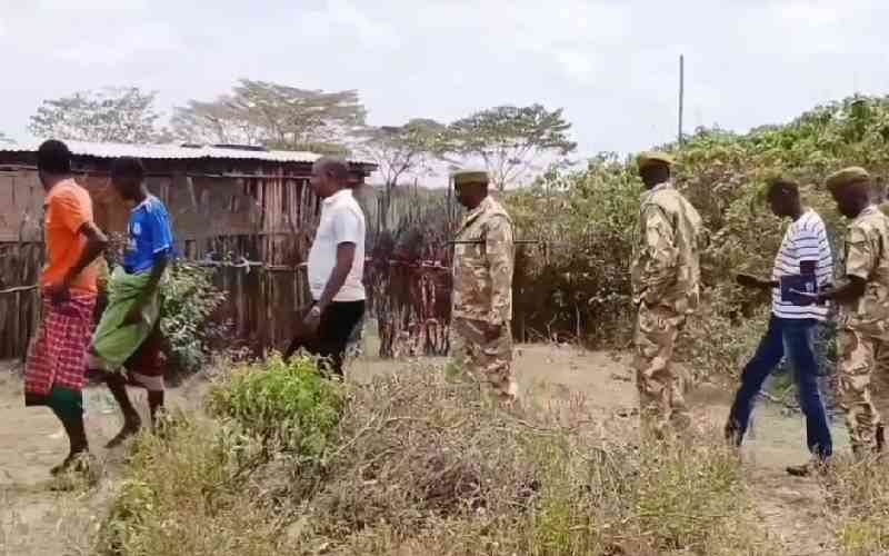Rogue elephants kill three people, destroy crops in Samburu