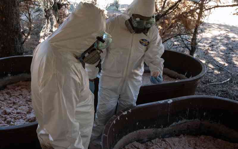 Mexican cartels target Australia with their African meth