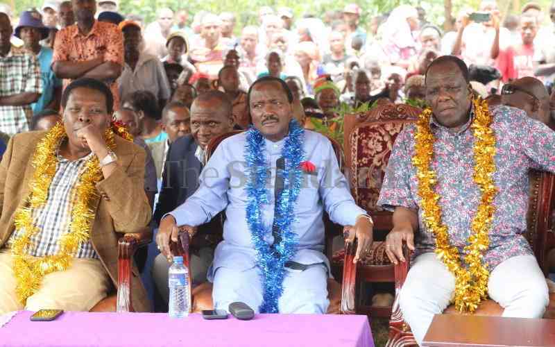 Forget our nod if cost of living is not in report, Kalonzo tells Ruto