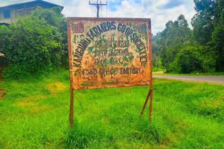 How officials linked to Sh117m Kangunu loss formed new coffee society