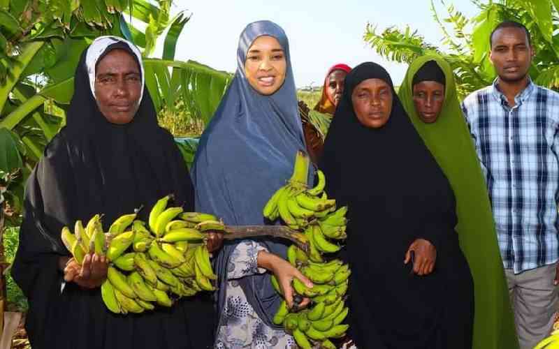 Venture into farming to secure livelihood, Wajir Woman Rep tells residents