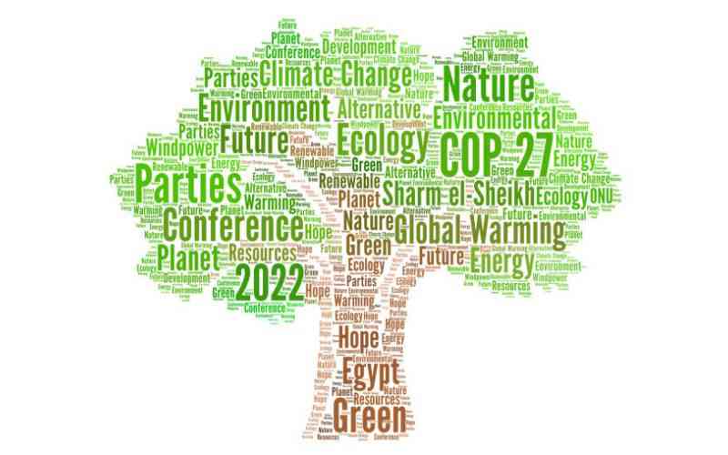 COP27 quiz for climate change champions