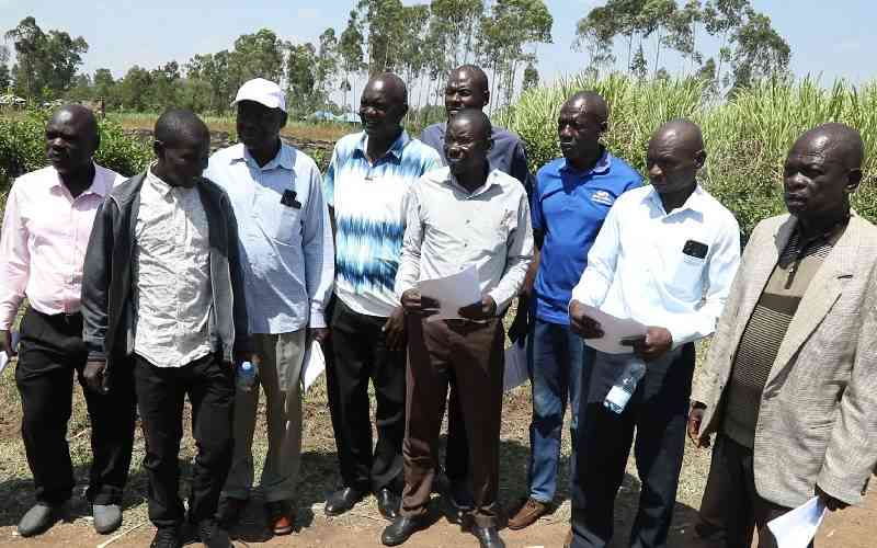 Imported sugar undermining local industry, South Nyanza farmers say