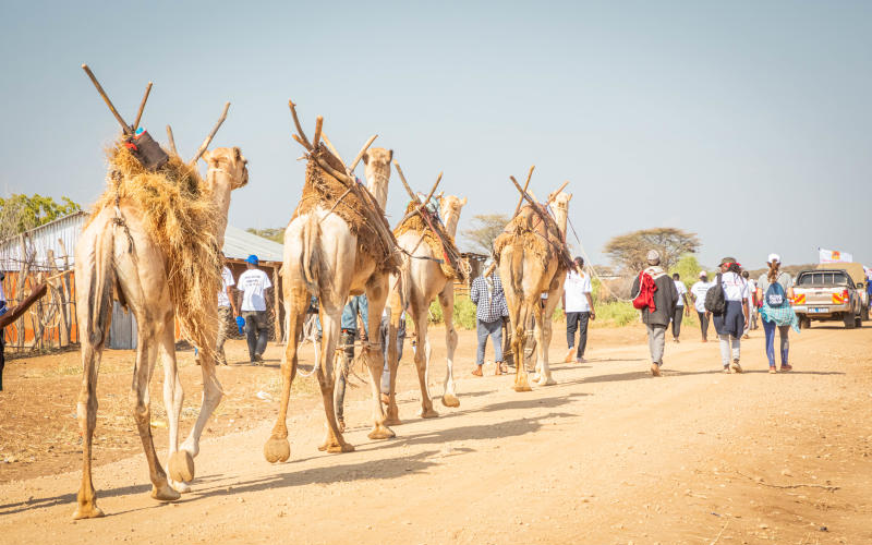 Walking for water: Six-day camel caravan saving Kenya's lifeline
