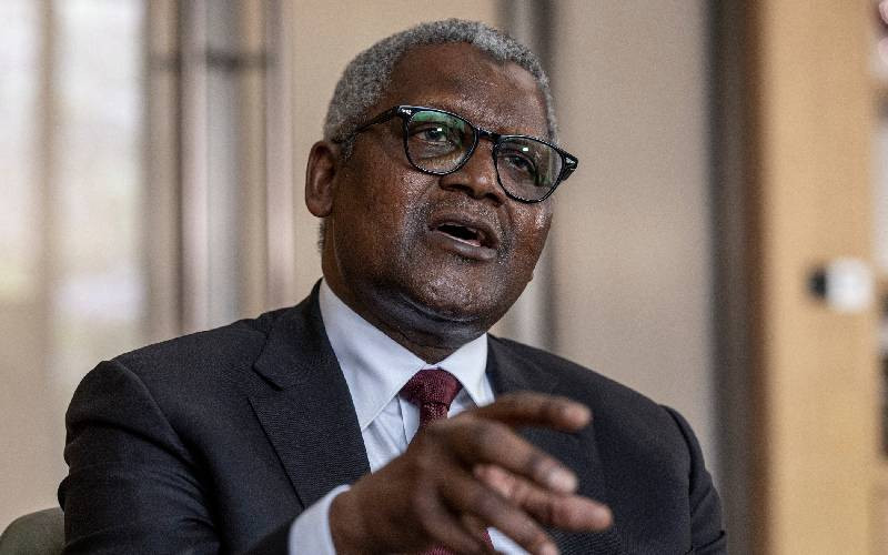 I had never heard of Lamu before, Dangote says