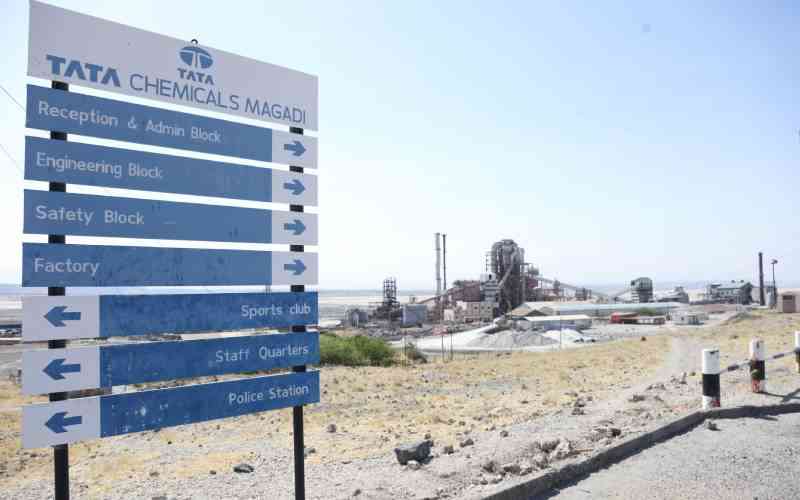 Are confrontation, threats Ruto's new strategy of doing business?