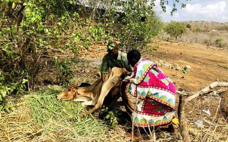 Wakenya watahadharishwa kuhusu jua na ukame