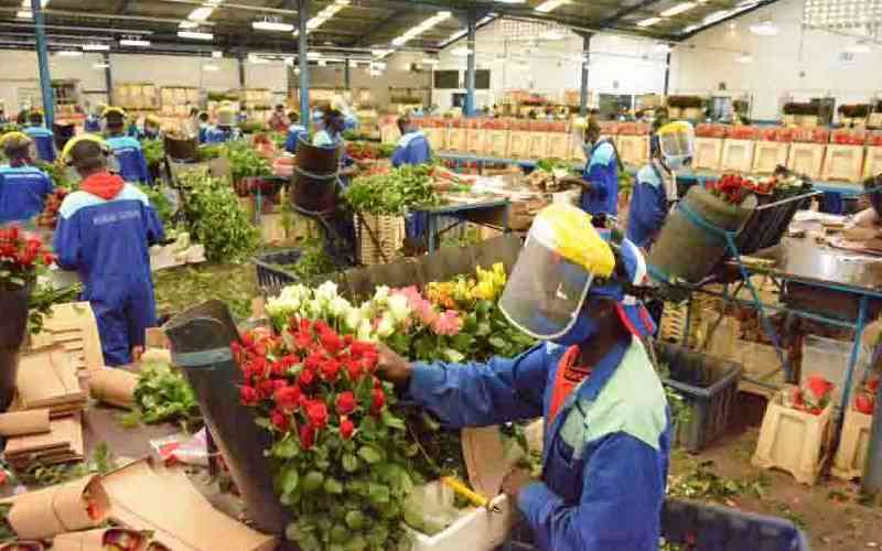 Kenya's flower exports now feel the heat of rising freight costs