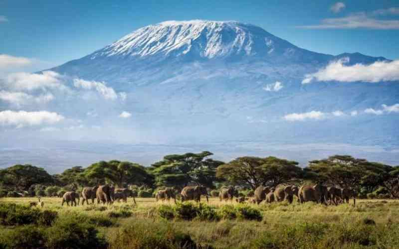 Travel: Face to face with the mighty Kilimanjaro