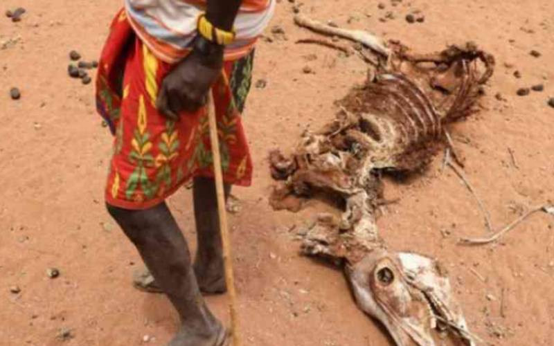 Government escalates drought response as 3.3 million Kenyans face hunger