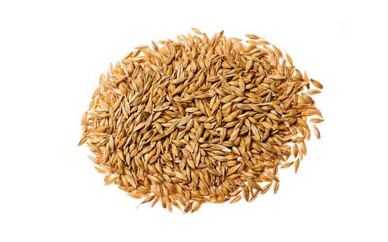 Ingredient of the week: Barley