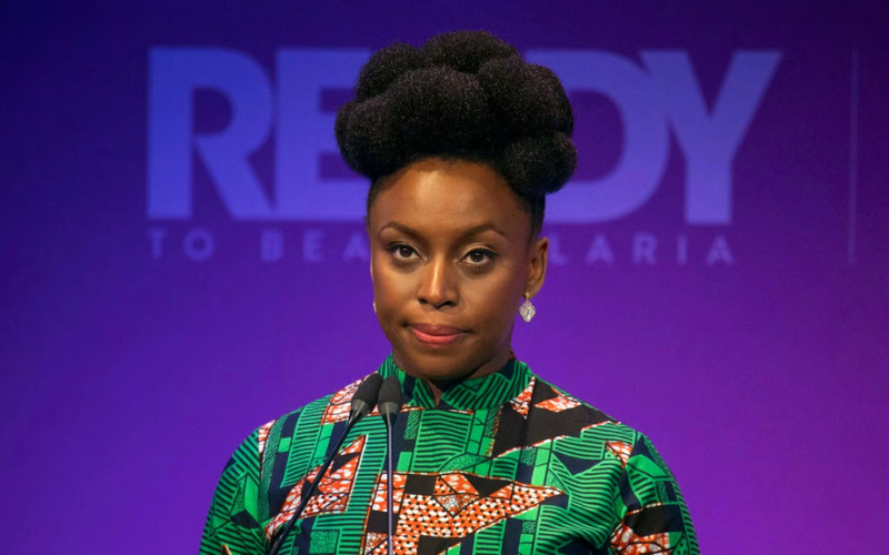 Doctors suspended after Chimamanda Adichie's toddler died during hospital procedure