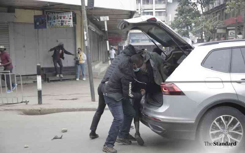Court: Only IPOA can probe police killings, disappearances