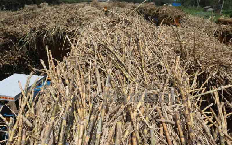 Chemelil Sugar to resume operations after striking deal with farmers