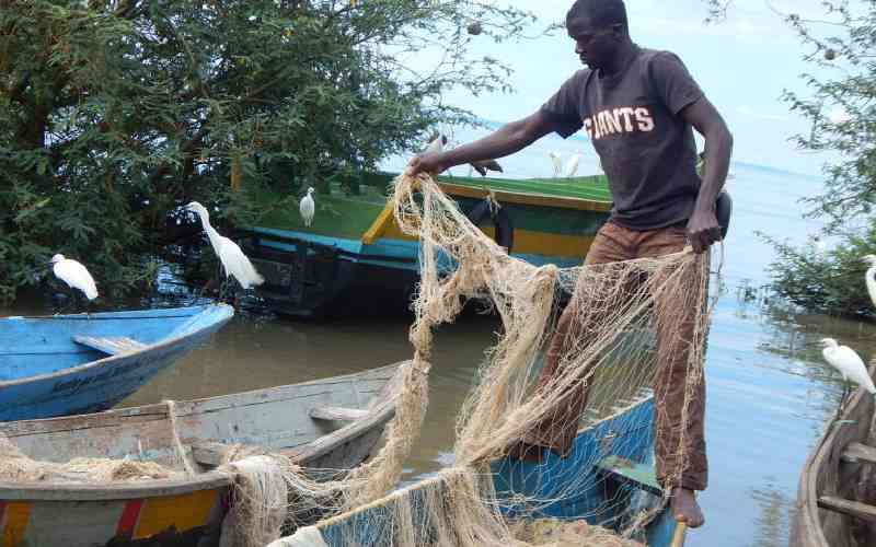 Fishermen decry illegal gear use