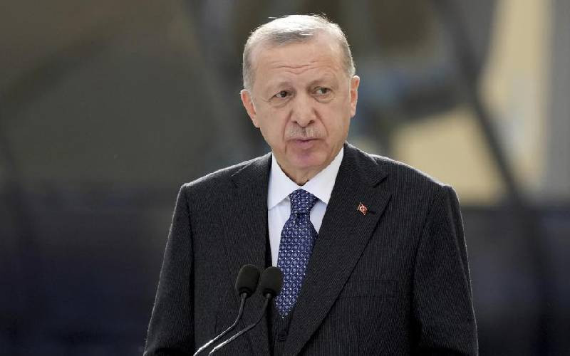 Erdogan's leadership style has failed to redeem Turkey's global image