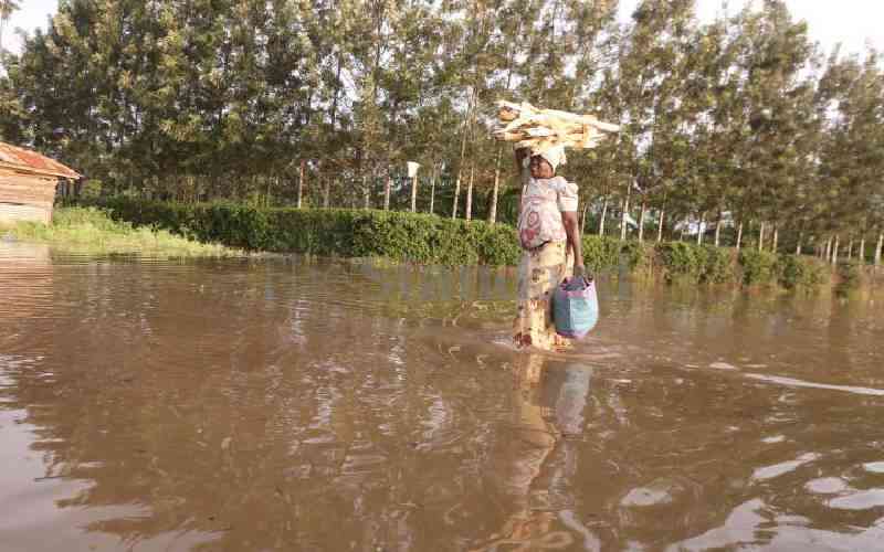 Heavy rains leave families marooned in Zimbabwe's capital