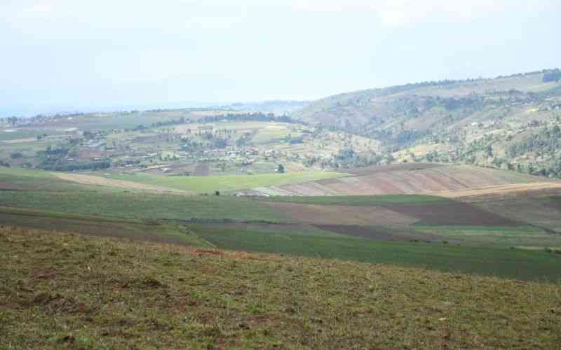 Three Killed, Seven Injured in Ongoing Land Dispute in Lolgorian