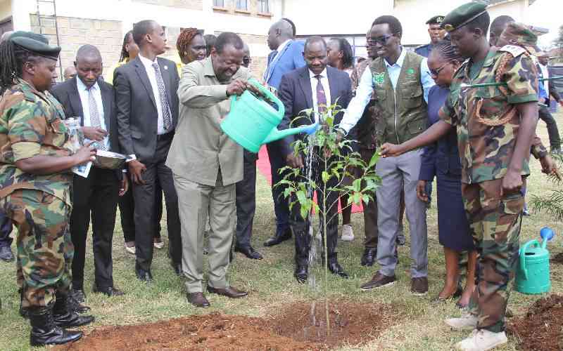 Adopt-a-block: Diplomatic community invited to support Kenya's tree-growing initiative