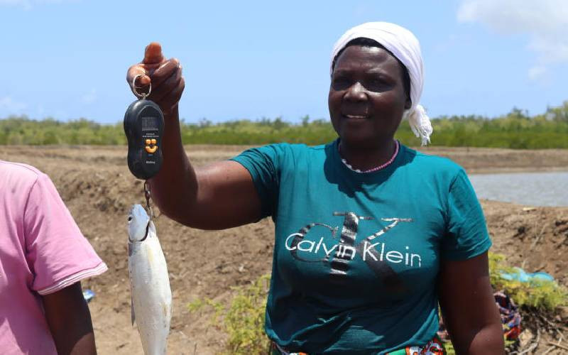 Climate-smart aquaculture drive turns the tide for coastal women
