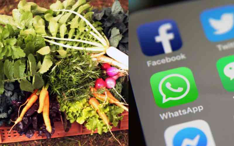 Young farmers are cashing in on social media platforms
