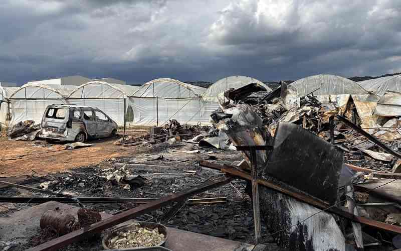 Pregnant Syrian mum, 5 kids die in container fire in Turkey