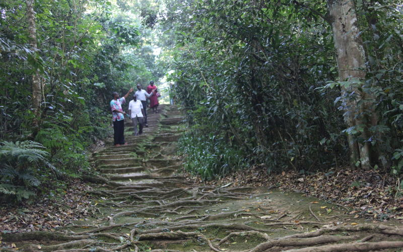 Why Taita Taveta, Kakamega should be on your travel wishlist