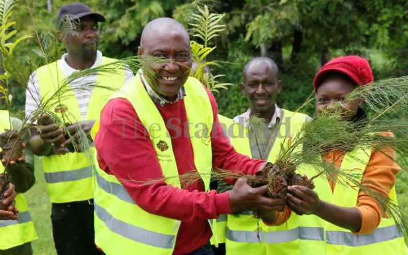 State hopes to plant 150 million trees today