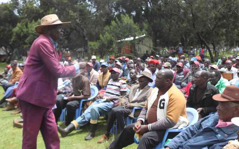 Ogiek's fight for community land rights has seen historic, decades-long battles finally pay off