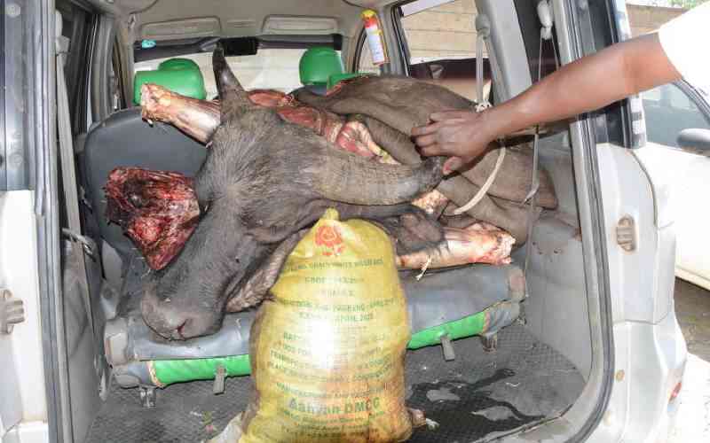 Research institute, KWS unite to combat bush meat menace