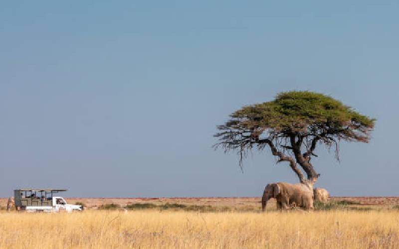 Report: Africa wildlife popula...