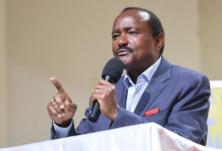 Kalonzo's Wiper to field 10 candidates in November by-elections