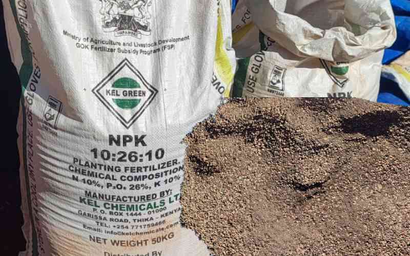 Ruto's food security hopes facing storm amid fake fertiliser scam