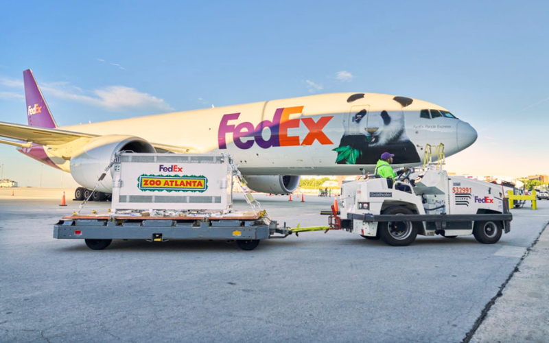 'FedEx Panda Express': China sends two giant pandas to US in 10-year conservation deal
