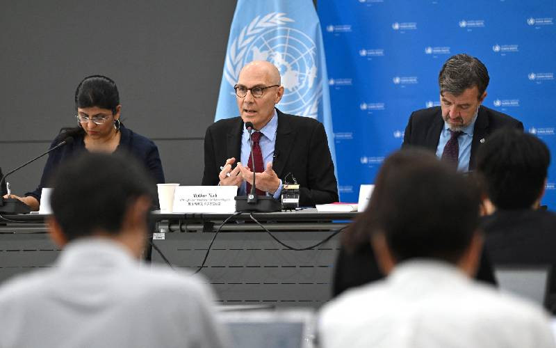 UN urges independent probes into deadly Nigeria, Chad airstrikes