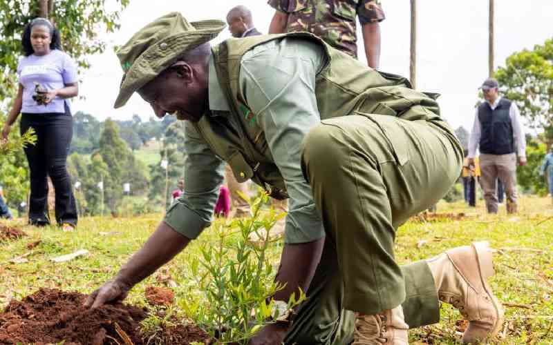 Spice tree planting with research, capacity building