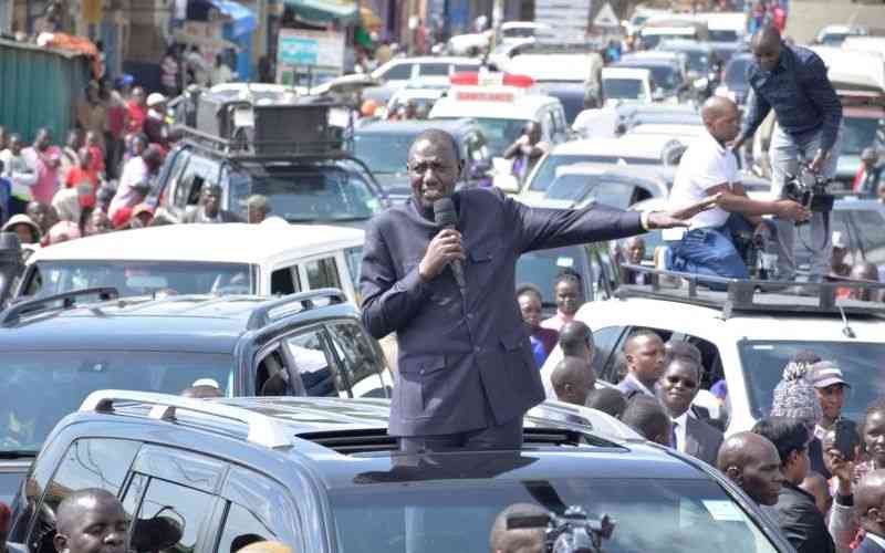 Ruto lifts logging ban in state forests