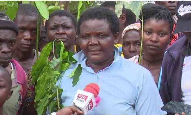 How Kakamega residents will benefit from the Sh683bn gold discovery